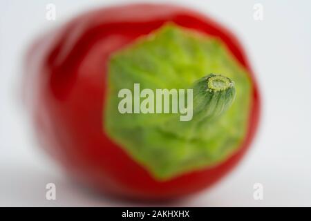 Makrofoto eines roten, heißen Chilischepfeffers. Konzentrieren Sie sich auf die Spitze des Stiels. Seitenansicht, flach. Chili Saltillo (Capsicum Annum) Stockfoto