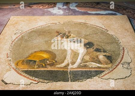 Ägypten, Alexandria, Bibliotheka Alexandrina, Archäologisches Museum, Pptolemäisches Mosaik, das einen törichten Hund und seinen umgekehrten Becher zeigt. Stockfoto