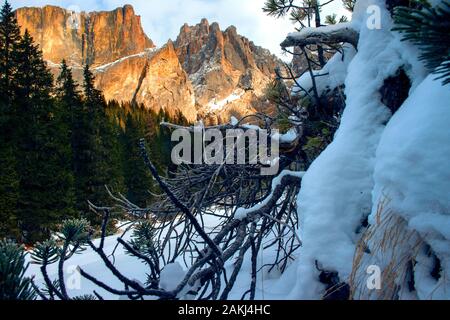 Dolomiten in frischem wintersnow in der Nähe von Canazei Stockfoto
