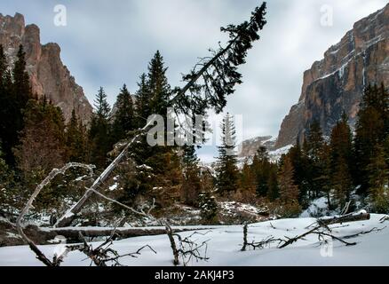 Dolomiten in frischem wintersnow in der Nähe von Canazei Stockfoto