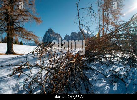 Dolomiten in frischem wintersnow Stockfoto