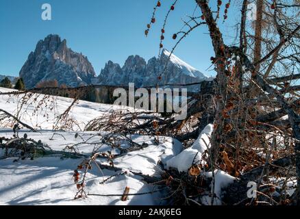 Dolomiten in frischem wintersnow Stockfoto