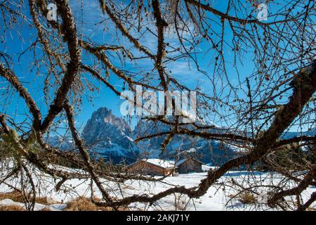 Dolomiten in frischem wintersnow Stockfoto