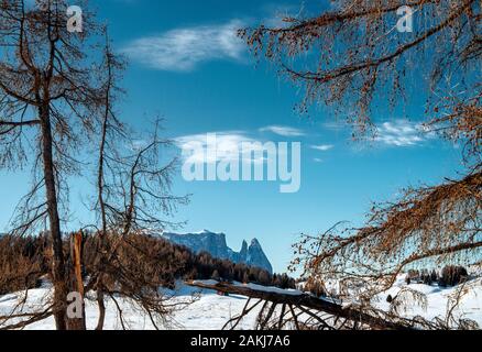 Dolomiten in frischem wintersnow Stockfoto