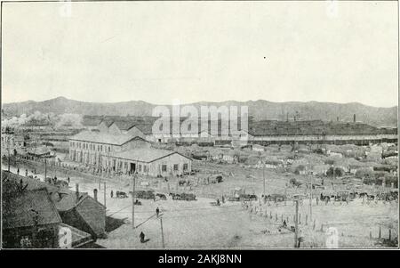 Bildliche gewählt und die Mandschurei. StapIejProducejExchange. - 261 - 189. 190 Stockfoto