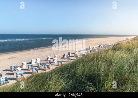 Sommer Strand Landschaft mit Korbstühlen, hohes Gras Dünen, Nordsee, Wasser, auf Sylt, Deutschland. Sonnige Sommerferien Kontext. Stockfoto