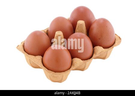 Sechs braune Eier im Karton auf Weiß mit Freistellungspfad Stockfoto