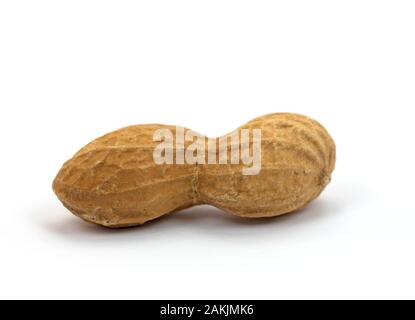 Roasted Peanut vor weißem Hintergrund Stockfoto