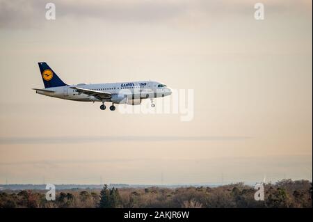 Lufthansa Airbus A319-100 kommt bei Sonnenuntergang auf dem Frankfurter Flughafen in Deutschland an Stockfoto