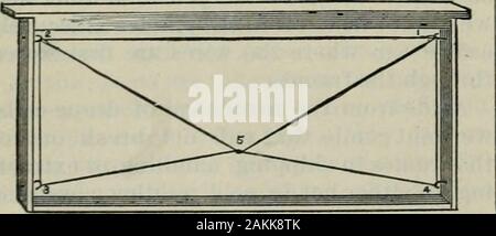 Das ABC der Biene Kultur: ein cyclopedia von jede Sache, die in Bezug auf die Pflege der Honig-Biene, Bienen, Honig, Nesselsucht, Arbeitsgeräte, Honig-Anlagen usw., Tatsachen von der Erfahrung von Tausenden von Imker alle über unser Land und später durch die praktische Arbeit in unserer eigenen Imkerei überprüft. f top-ljars oder Ijottom - Bars ist notwendig. AU-Zoll Kabel Nagel ist durch das Ende angetrieben - Bars f eines Zoll fixnn tlie oben und bottombars. Sie werden dann l^ Hno in Form von ahook Durch runden Spitzzange. Zu dothis Rai) untätig, string eine Menge Frames über anarrow Board, so dass das Ende - Bars incontact liegen Stockfoto