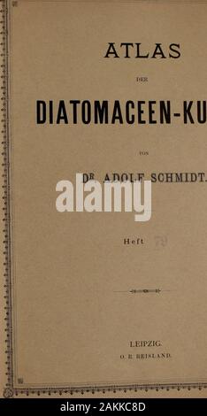 Atlas der Diatomaceen-Kunde. -? ATLAS DIATOMACEEN-Kunde. Ich &Lt;v? ! X?? (- • Ich*" • - S - / • Heft £ J = * Sfc = fc-Leipzig. 0. R REISLAND. X yv vTt. v - ich Vorläufige Erläuterungen zu® Jsly* Schmldts Atlas der Diatomaceenkunde. Tafel 313, herausgegeben von Friedrich Hustedt, Bremen, Mai 1914. L g^ Vergrößerung tOOOfach. W NEW? H"? "Ich L&lt; 1, 2. Kalahari, Afrika. I S. (Reichelt). Pinnularia Hartleyana Grev. :-;. T 9. (Originalpräp ebenda.). P-Passargei Reich, ich. 5. Schweden, r.in. I p Treve | yana Donk. 6. Mexiko, r. m. J - 7. Sendai, Japan, w. S. (Reichelt). S. lignitica Gl.8. 9. Ebenda. S. Th Stockfoto