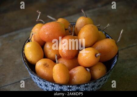 Recife/Pernambuco/Brasilien. Januar 2, 2020. Siriguela ist ein typisches Obst aus Nordosten Brasiliens. Stockfoto