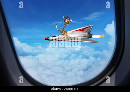 Hallo von Giraffe pilot race Flugzeug, Wave Stockfoto