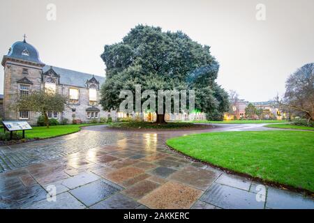 Aberdeen/Schottland - Campus der Universität, alten schottischen Architektur. Stockfoto