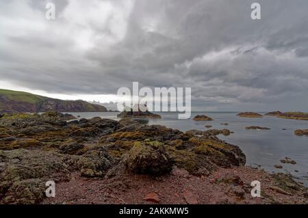 Die felsigen Sandstein Strand von St. Alb's mit Das Cathedral Rock in der Mitte der kleinen Bucht auf einem nassen Oktober Nachmittag. Stockfoto