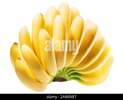 Baby banana Bündel auf einem weißen Hintergrund. Stockfoto