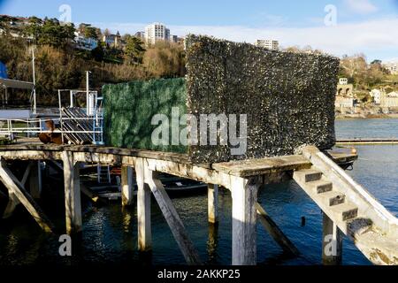 Saône Kais, Perrache Bezirk, Lyon, Frankreich Stockfoto