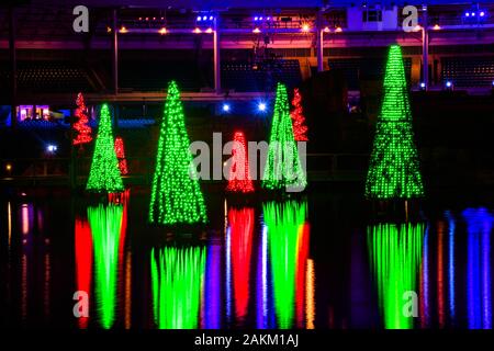 Orlando, Florida. 30. Dezember 2019. Beleuchtete Weihnachtsbäume in Seaworld Stockfoto