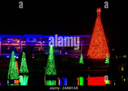 Orlando, Florida. 30. Dezember 2019. Beleuchtete Weihnachtsbäume in Seaworld Stockfoto