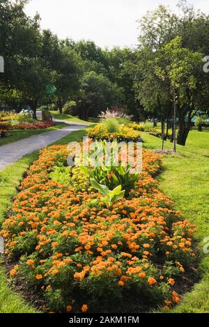 Grenze mit orange Tagetes - Ringelblume Blumen und Canna-indischen Schuß Pflanzen im Sommer, Centre de la Nature öffentlichen Garten, Laval, Quebec, Kanada. Stockfoto