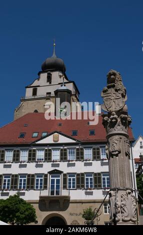 Lion Statue mit Württemberg Wappen am Brunnen vor dem Rathaus und der Stiftskirche Stockfoto
