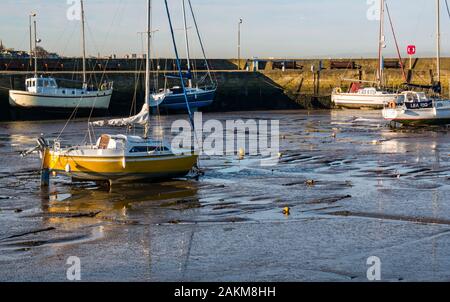 Geerdete Segelboote in Schlamm bei Ebbe, Fisherrow Harbour, Musselburgh, Schottland, Großbritannien Stockfoto