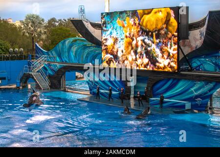 Orlando, Florida. 30. Dezember 2019. Killer whale Springen in Orca Begegnung Show in Seaworld Stockfoto