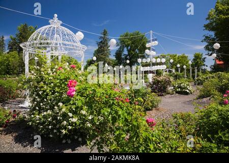 Rosa Rosa 'George Vancouver" und White Grootendorst' - Rosenbusch mit weißen schmiedeeisernen Metall Pavillon im späten Frühling im Rosengarten. Stockfoto