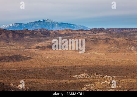 Mt. San Jacinto & Joshua Tree National Park Stockfoto