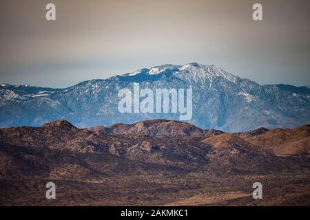 Mt. San Jacinto & Joshua Tree National Park Stockfoto