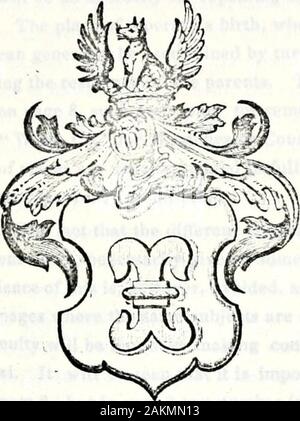 Eine genealogische Geschichte der Hoyt, Haight und Höhe Familien: mit einigen der früheren Hyatt Familien, eine Liste der ersten Siedler von Salisbury und Amesbury, Massachusetts, etc. des Deutschen Reiches, und nicht Indi - cate den Rang. Die Coronet ähnelt der einer Deutschen Herzog; aber es ist nicht heredetermine der Rang, wie er über dem Helm, anstatt direkt. ruht auf theshield. Es hat das Ziel, den der Autor in dieser Arbeit zu geben, nicht nur seine eigene opin - Ionen und die Ergebnisse seiner Untersuchungen, aber auch, soweit möglich, die Fakten und seine Schlussfolgerungen basieren. Stockfoto