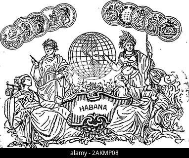 Boletín Oficial de la República Argentina 1906 1 ra sección. Stockfoto