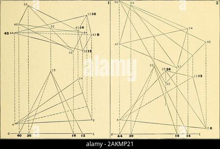 Darstellende Geometrie. Der Schnittpunkt der Ebene N mit der gekrümmten Oberfläche der Revolution bestimmen. (Art. 132, Seite 96.) Maßeinheit, l Zoll. Platzbedarf für jedes Problem, 7x lO Zoll. Messungen von GL, in Licht, pi A-fc OQand vom rechten Trennlinie, in schwere Ausführung. r l - M I C^^. Der Schnittpunkt zwischen den Körpern bestimmen. Maßeinheit, J-Zoll. Platzbedarf für jedes Problem, 7x lO Zoll. Messungen von GL, in hellen Typ, Qi ein TC QOand vom rechten Trennlinie, in schwere Ausführung. r L M I C OU Stockfoto