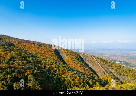 Blick auf das Alazani-Tal im Herbst mit farbigen Blättern und Bäumen und alter Stadtmauer rund um die Stadt Sighnaghi, Kakheti, Georgia Stockfoto