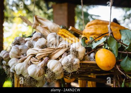 Knoblauch hängend trockener Markt im Freien. Organischer Knoblauch - gesunde vegetarische Zutat Stockfoto