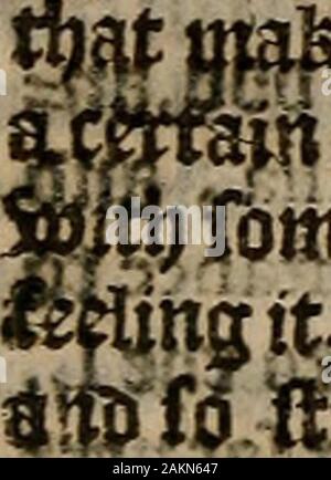 Der höfling des Grafen Baldessar Castilio: in foure Bücher deuided: Verie necessarie und profitabel für junge Kollegen und gentlewomen bei Gericht bleibende, pallace, oder Ort. . ^^%^?|Ìf?^ FT>^V iii | inieur péchant & qui; "Ich-f^^4^ nféitJ tojafnaladie, par vn cèr - uenfenz.^]* ïbttij lihacoj chç^^^^^^^^ Ôf tftOlcfQÇ tain Accord d; ce4uy aiiej: alçtimdi qtietfuom Jen Li&Emi Stockfoto