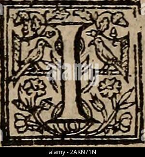 Der höfling des Grafen Baldessar Castilio: in foure Bücher deuided: Verie necessarie und profitabel für junge Kollegen und gentlewomen bei Gericht bleibende, pallace, oder Ort. ttìf i^ttlîie Arife, Tl^e S "l^ tcï | becaafeit tis gcsnerdlve feenc m oltiemm, ein Mann ma^ bdcue Es x & ordnungsgemäße^ naturali t) num t^em: Ant) t^i 0. i^oio C in einem Mann ^ Stufe) al von t^em Kommentar) Tl) etime 0 Pad, anZ) Schuld tl^ etime 0 pj^ efent: î> ilp; Ta^ lîngeoar Isoingâ anîi ntancr^, anï> 5 "î) atfoeucr Tl) e^ï) îî> nicht Ich "lljeirçoutl): ^Bewaffnung moîcoacr Racs "ç" gooî cuîtome anï) gooî) trabe Der Itain^ jeueri? Bntae, schließlich cari) tljtngc Stockfoto