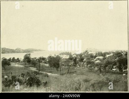 Expeditionen organisiert oder in von der Smithsonian Institution. teil. . N der Freude unter den Indianern, denn hier wurden Zahlen von grossen, fetten Fische, die nur noch aus der Wasser-, hing an den Büschen zu trocknen. Die contimie Piutes noch den großen Mengen für den Winter essen zu kurieren. Ein kleiner weisser Fisch reich infavorable Orte. Einige der minnows erreichen einen Fuß in der Länge, beißen Nr. 8 S.^L1 135210 0 NIAN Erkundungen, ich 913 3; ein riy oder kleine Löffel, und gelegentlich tragen zur campersbreakfast. Eine Studie der tish Fauna der l) asin trägt die Schlussfolgerungen ofgeologists Bezug Stockfoto