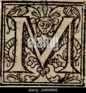 Der höfling des Grafen Baldessar Castilio: in foure Bücher deuided: Verie necessarie und profitabel für junge Kollegen und gentlewomen bei Gericht bleibende, pallace, oder Ort. KA MEflejfo lun-gamets hodubitato, meJferAl - fonfo eartfimo, t^ualdidue cofepsù difficilmifuf-fé j0 Ti negarui Quel, che con Tanta infi ^ ^ 9 olte japM mhauete Richie-fio, ó il y farlo percheda Ç "Canto mi f arcuaduripimo negar alcunacoÇtj^ ma^^ cheioamo imamentetaudeuole, aperfìna (ommamente y^da CM Çommamente miCento ejfer Amato, dallaltro pigliar ancor im-pre Fa, La quatto nicht Co-nofce ^ Ich poter condur Eine fi-ne, pareami d Stockfoto