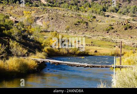 Eine alte und verfallene Brücke noch überspannt den Fluss unten beim Vieh weidet auf einem grasbewachsenen Bank. Stockfoto