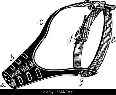 Zurückhaltung von Haustieren; ein Buch für Studenten und Praktiker; 312 Abbildungen von Federzeichnungen und 26 Halbtöne von der ursprünglichen Fotos. Abb. 305. Sicherheit Schnauze angewendet wird. Abb. 306. Leder Box Schnauze. Stockfoto