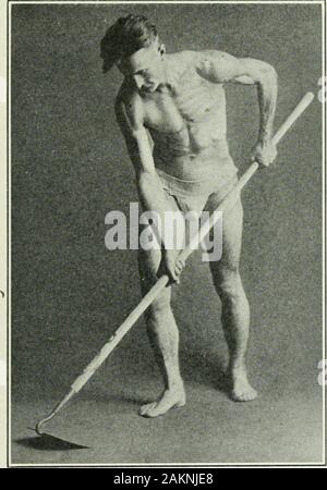 Angewandte Anatomie und Kinesiologie; der Mechanismus der Muskelbewegung. Er sitzt und die andere Hand auf theabdominal Muskeln. Beginnen Sie mit einer leichten dowoiward againstthe Tabelle schieben und es langsam erhöhen, während man den Zustand oftension der Abdominal- Gruppe. Sie sind lax in erster und onlyafter eine bestimmte Menge an Arm Depression ist gegeben haben Sie Vertrag beginto, aber mit noch mehr von der Abwärtsbewegung theycontract mit jedem Druck auf den Arm. Industrielle Berufe 325 Die starke und schnelle Kontraktion der Bauchmuskulatur inhoeing bald zu reifen ihnen beginnt und dann die Arbeit Stockfoto