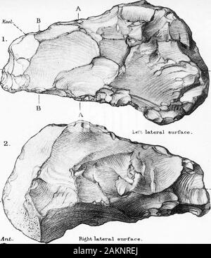 Der Übergang von der Rostro-Carinate Feuerstein Anbaugeräte auf den Tongue-Shaped River-Terrace Implementiert von Kies. Rechts la. tero. 1 Fläche. Ant. Stockfoto