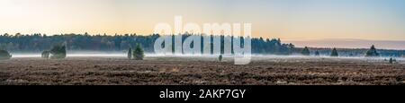 Panoramablick von misty Nebel über Heide mit Pinienwäldern in Luneberg Heide Woodland Stockfoto