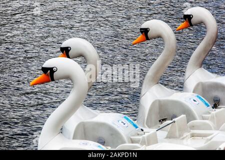 Plastikschwäne, Tretboote auf der Moldau Prag Tschechische Republik Stockfoto