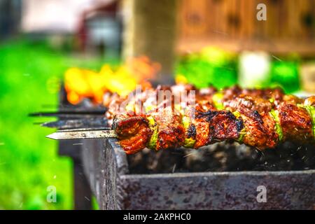 Auf einem Spit wird bei einem offenen Feuer auf dem Hintergrund eines grünen Rasens eines Landhauses gegrillt. Stockfoto