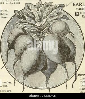 Garten Blumen und Samen 1902. Stockfoto