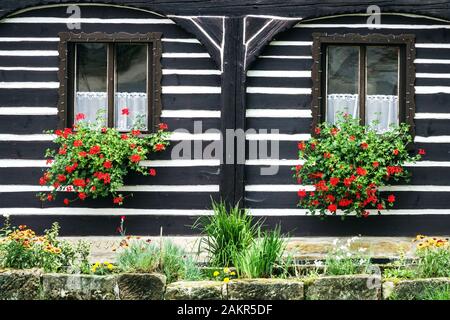 Tschechische Fachwerkhaus, rotes Pelargonium in Töpfen Rural Dorf Tschechische Republik Stockfoto