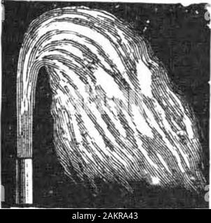 Scientific American Band 85 Nummer 10 (September 1901). Artesische Brunnen, Öl- und Gasquellen drilledby contra ct zu einem y-Tiefe von 50 bis 3000 Meter. Wir auch Herstellung und liefern alles Re-Quired zu bohren und gleichen completeI. Tragbare Pferd PowerI und montiert Dampf DrillingMachines für 100 bis 1200 Metern. Schreiben Sie uns unter Angabe genau whatis erforderlich und für Illus senden | Katalog behandelt. AddressPIERCE sowie ENGINEERING UND SUPPLY CO. 136 Liberty Street. New Yor K, U. S. A. Stockfoto