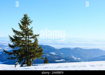 Blick von der schneebedeckten Gipfel des Belchen in die Berge und alpine Kette Schwarzwald, Baden-Württemberg, Deutschland Stockfoto